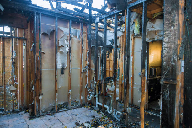 Professional Smoke Damage Removal technician working in Columbus, NJ